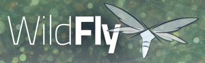 Wildfly_logo