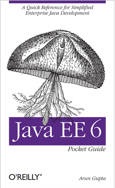 javaee6-pocket-guide