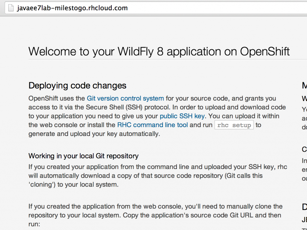 techtip33-wildfly-default-output