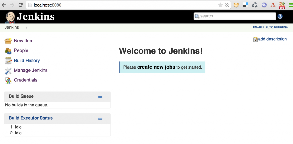 Default Jenkins Output