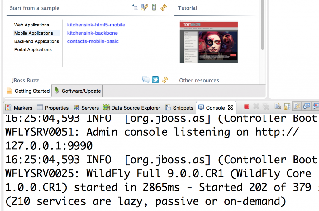 WildFly 9 CR1 Eclipse Console
