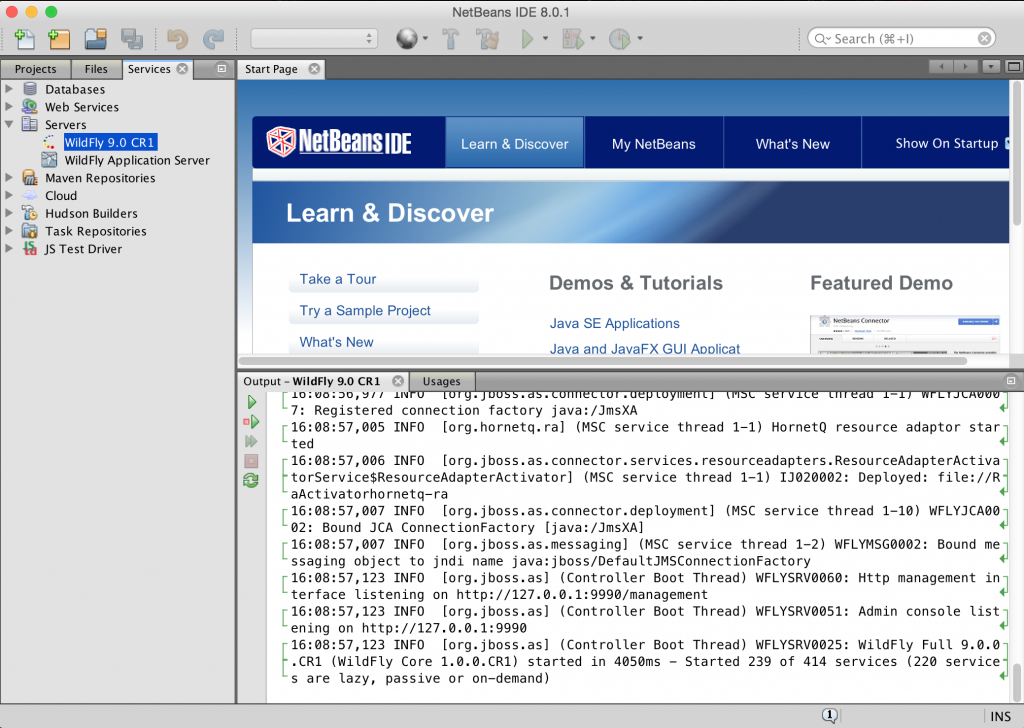 WildFly 9 CR1 on NetBeans