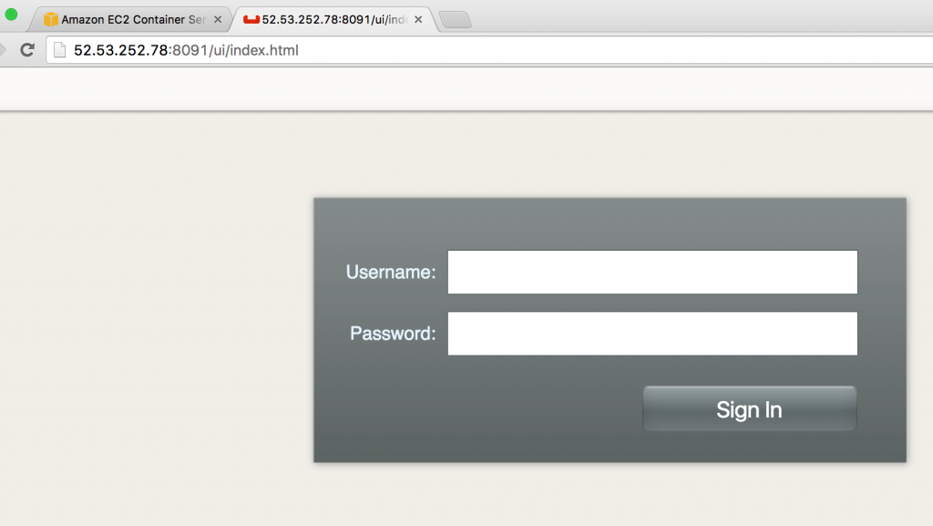 aws-ec2-container-10